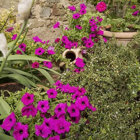 아파트 Belvedere *