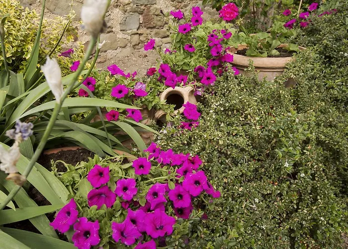 דירה Belvedere *