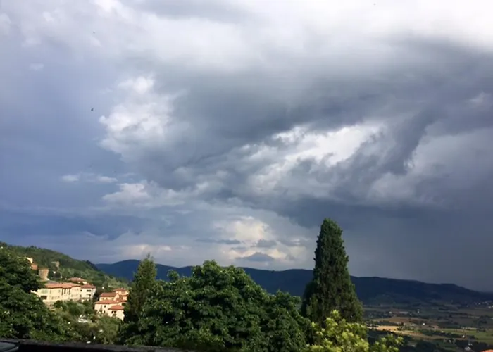 Apartament Belvedere *